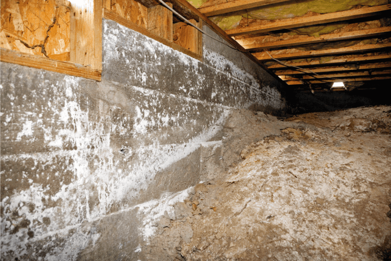 Crawl space under typical american house. How To Fill In A Basement With Dirt