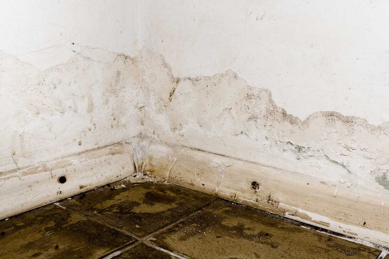 Flooding rainwater causing damage on floor, peeling paint and mildew, Can You Fix A Leaky Basement From The Inside?