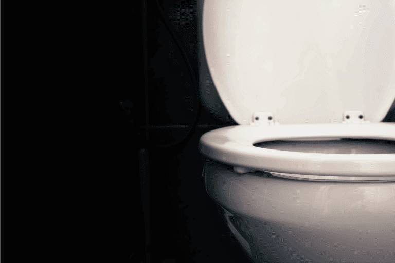 toilet bowl on a dark toilet. What Is The Best Toilet For A Basement Bathroom