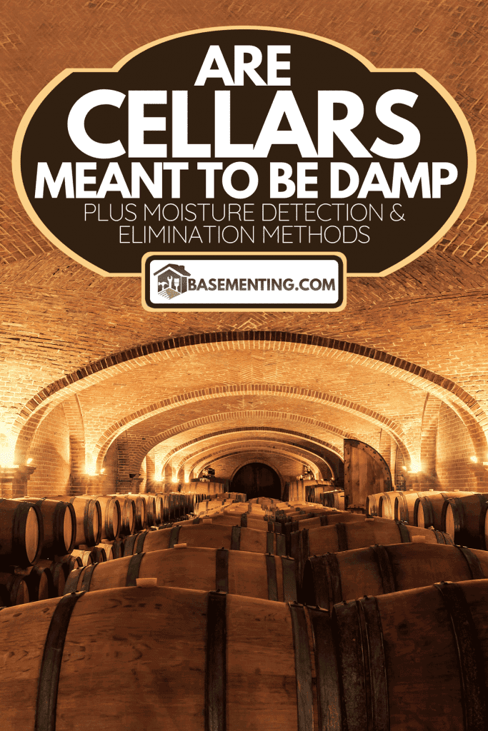 A multiple cask in a cellar during wine aging process, Are Cellars Meant To Be Damp [Plus Moisture Detection & Elimination Methods]