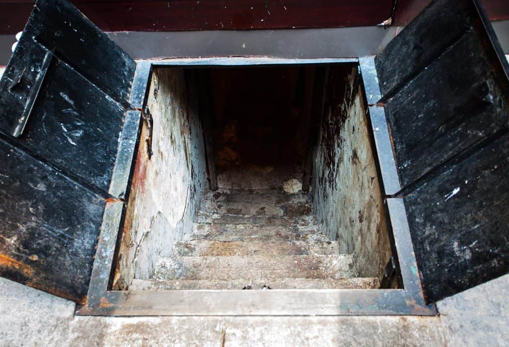 Cellar stairway in a New York City Street with metal doors