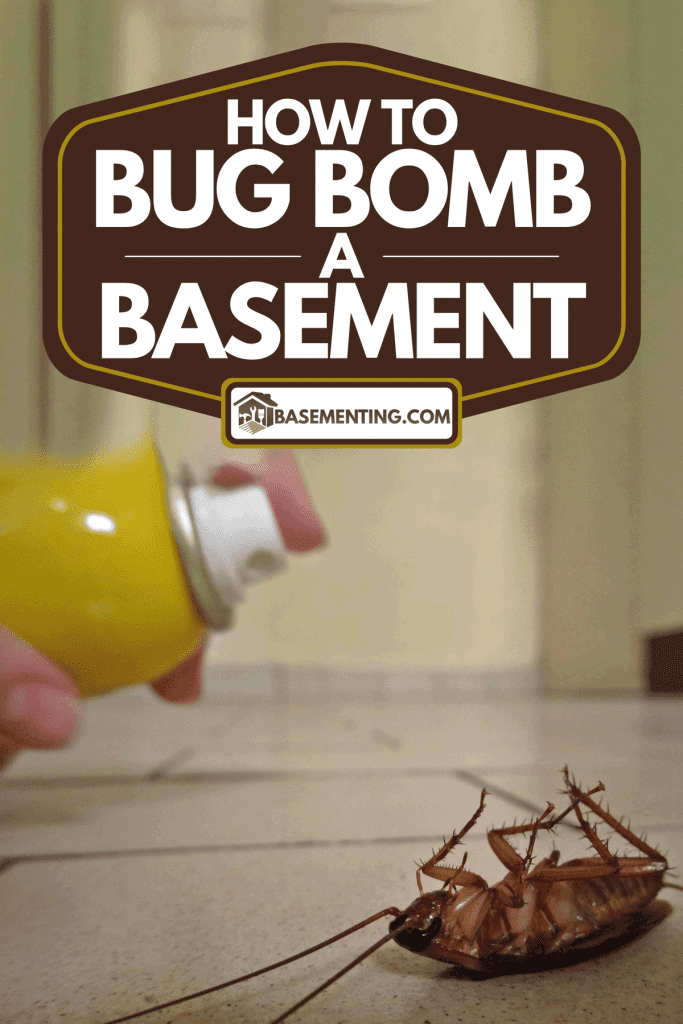 Killing a cockroach on the floor, How To Bug Bomb A Basement