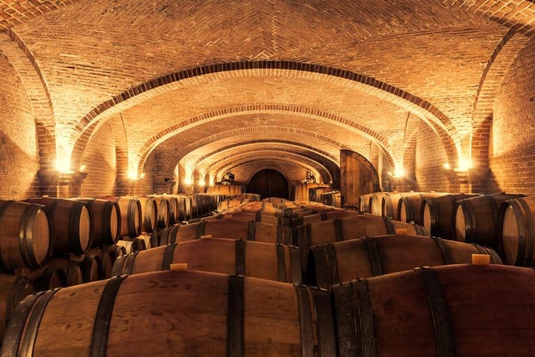 Multiple cask in a cellar during wine aging process, Are Cellars Meant To Be Damp [Plus Moisture Detection & Elimination Methods]