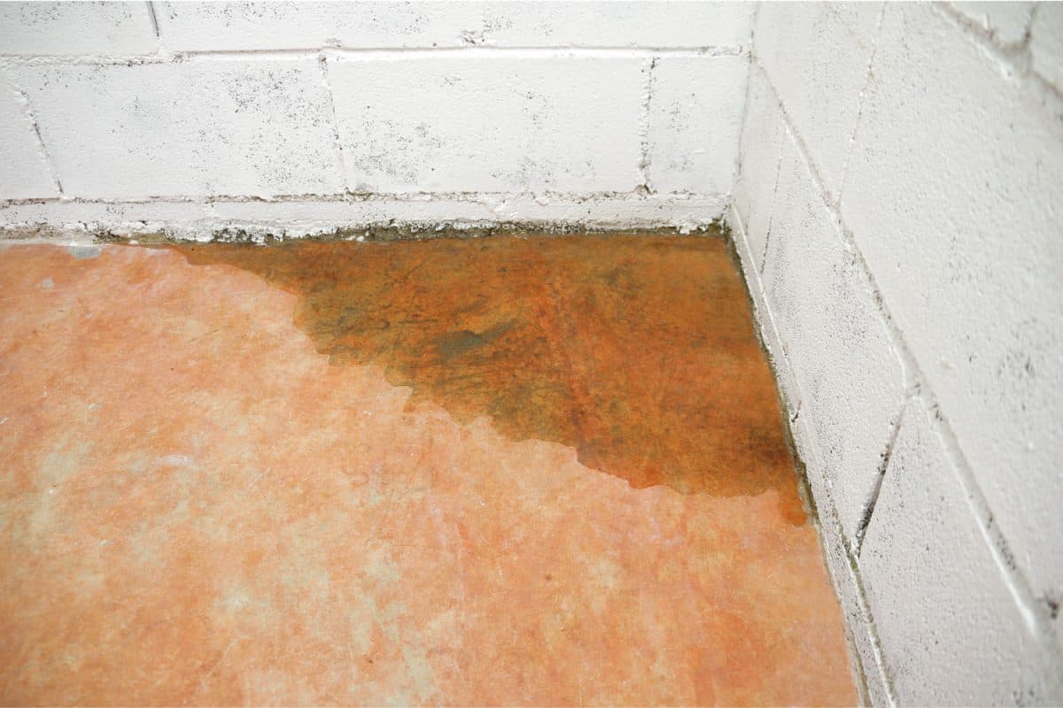 A basement that begins to filter water from the wall to the ground