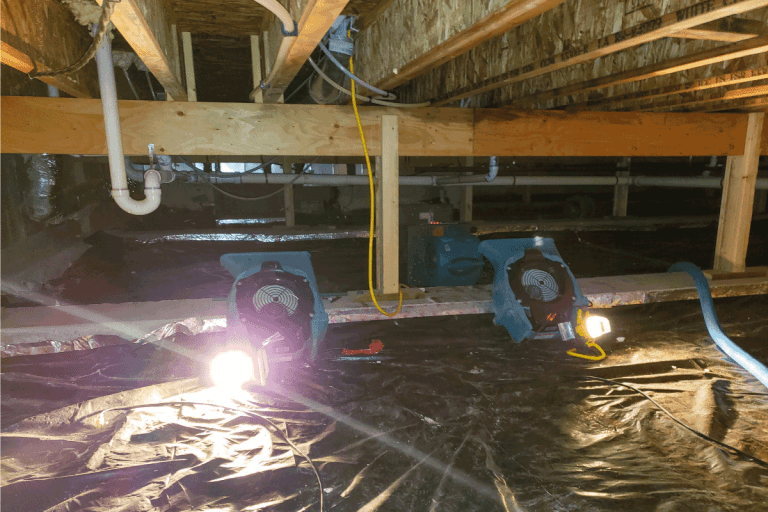 A crawl space with air mover to dry out the structure. Should A Crawl Space Be Damp [With 4 Moisture Reduction Solutions]