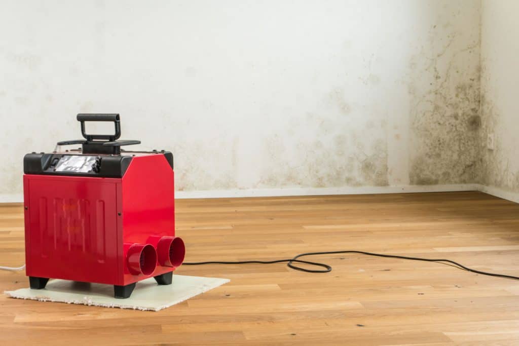 Horizontal view red dehumidifier in an empty apartment room with a serious toxic mold and mildew problem

