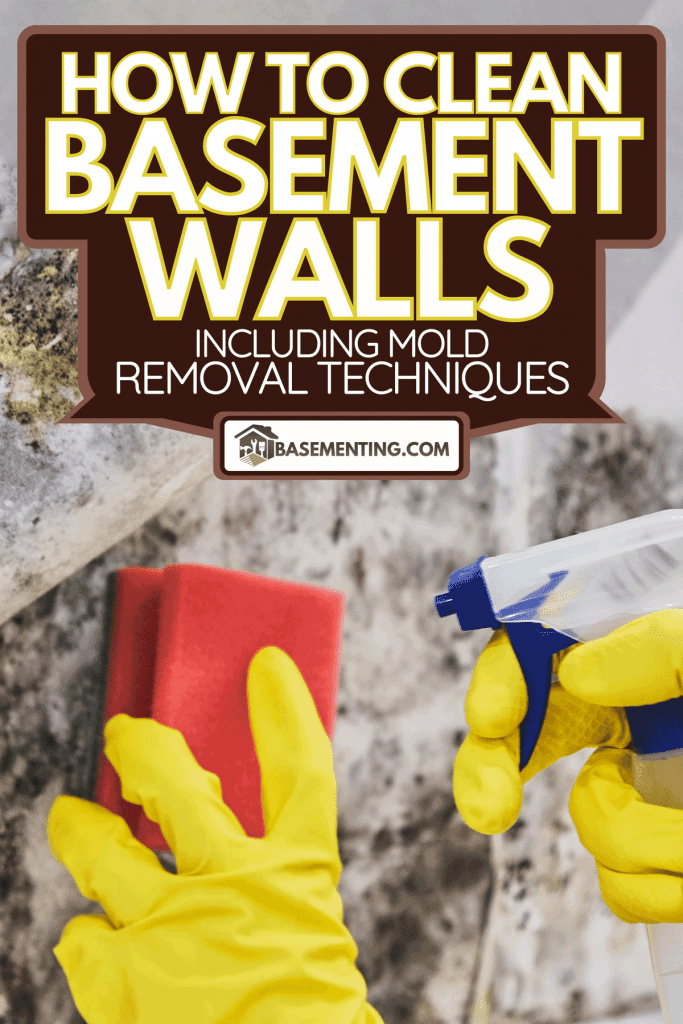 A hand with glove cleaning mold from wall with sponge and spray bottle, How To Clean Basement Walls [Including Mold Removal Techniques]